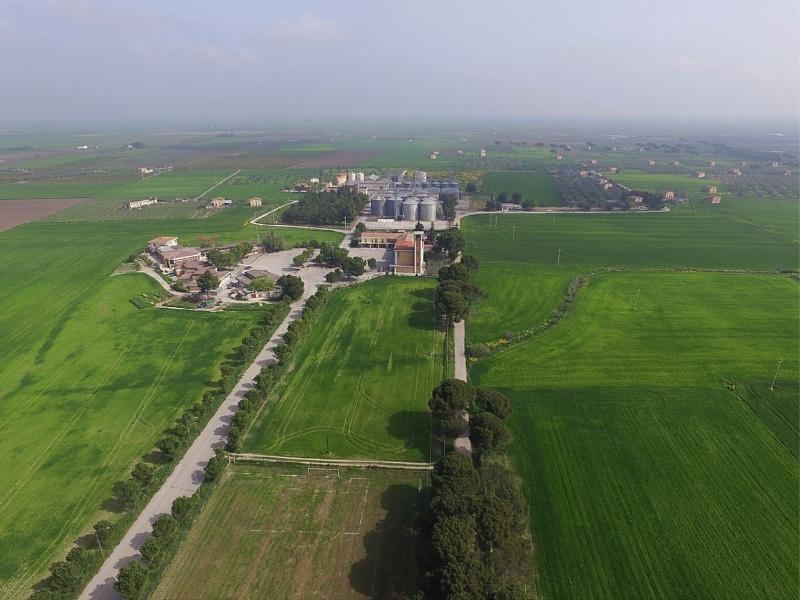 Pineta Srl: leader nel settore cerealicolo italiano