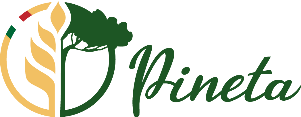 Pineta srl